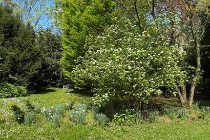 Filet-Grundstück in bester Lage - Diplomatenviertel zimmer