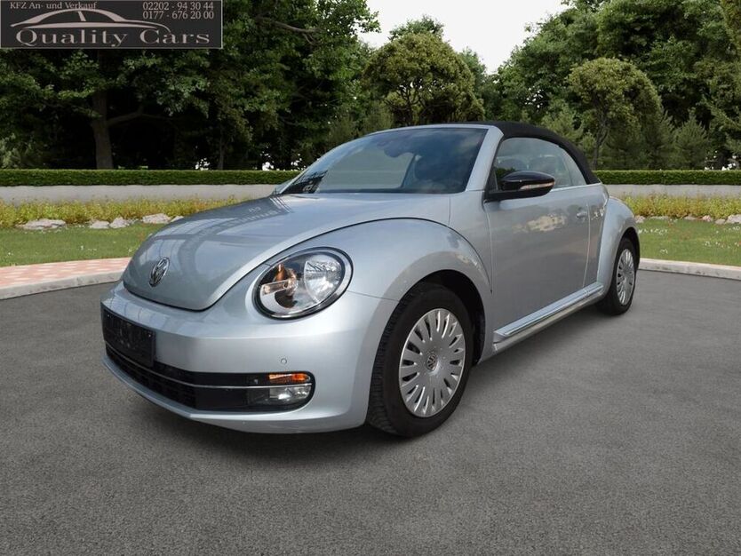 Beetle