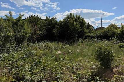 Schönes Baugrundstück in Kernen- Rommelshausen zimmer