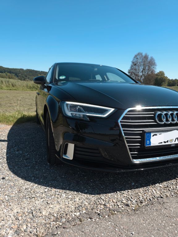 A3
