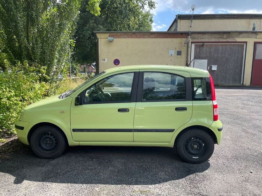 Panda