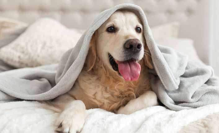 Mehrfamilienhaus, Wohnhaus Roetgen Rott - 8 Zimmer, 183 m&sup2;, 585.500&euro; | Angebot:24855526