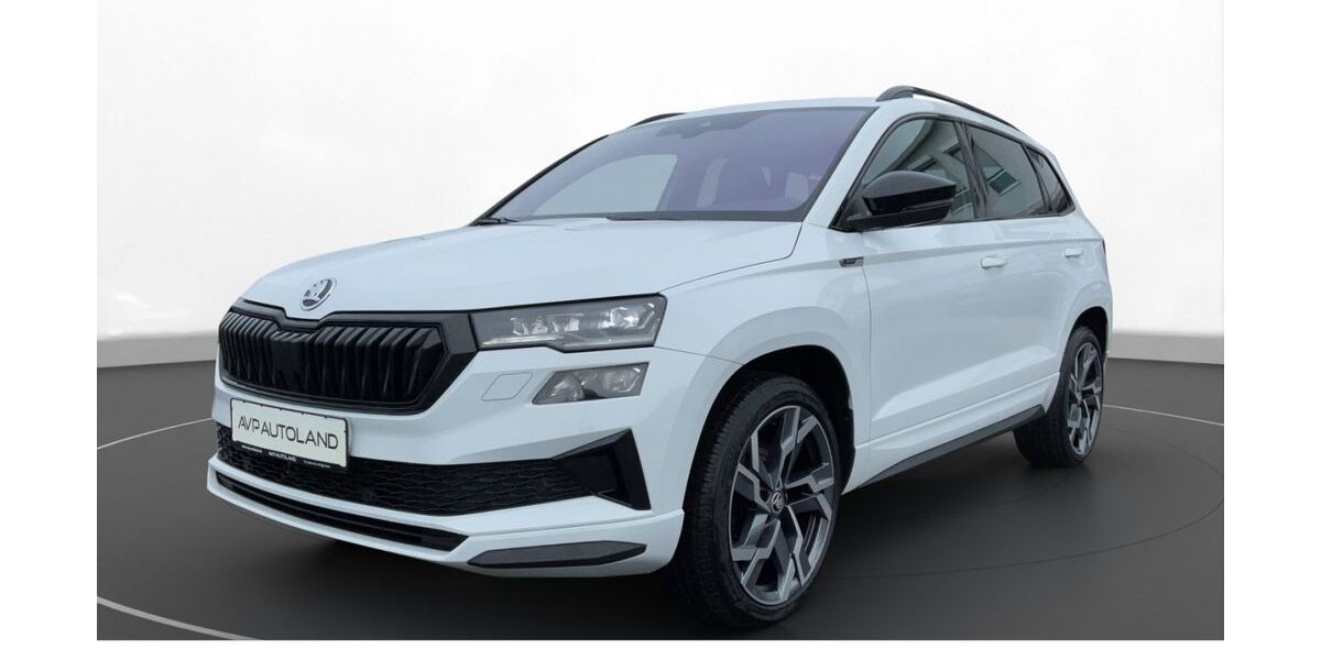 Skoda Karoq 61.452 km 30.750 &euro; Regen 94209