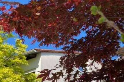 Haus Heidelberg - Rohrbach - 6 Zimmer, 135 m&sup2;, 549.000&euro; | Angebot:26069329