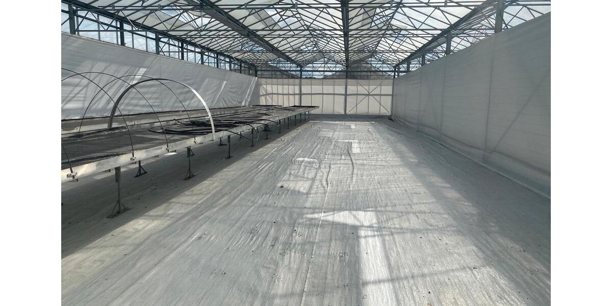 Gewerbeobjekt Großenkneten - 123&euro; | Angebot:24756305