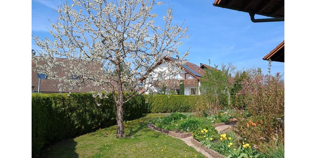 Einfamilienhaus Hüttlingen - 10 Zimmer, 255 m&sup2;, 720.000&euro; | Angebot:26835609