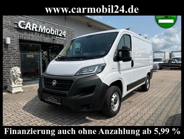 Ducato