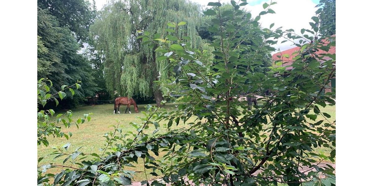 Bauernhaus, Landhaus Bad Bevensen - 14 Zimmer, 420 m&sup2;, 749.000&euro; | Angebot:26615798