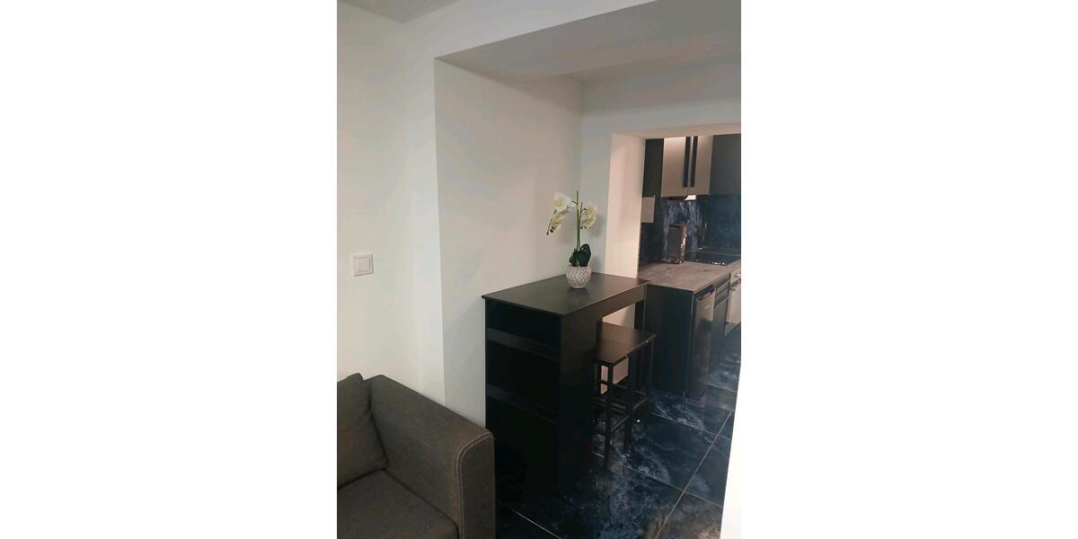 Erdgeschoßwohnung Sachsenheim - 1 Zimmer, 30 m&sup2;, 700&euro; | Angebot:25390616