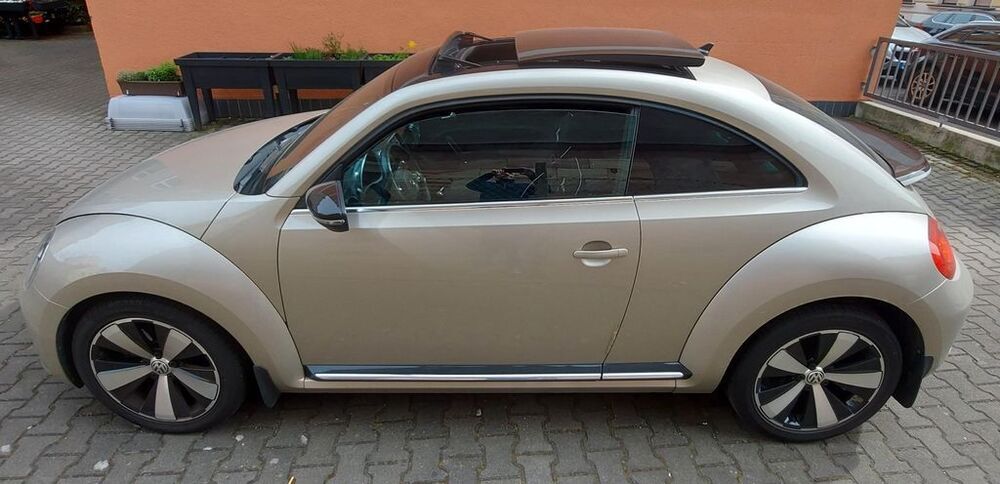 Beetle