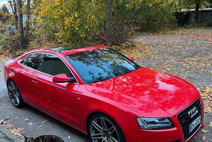 Audi A5 250.000 km 7.950 &euro; Zitz (Rogäsen) 14789