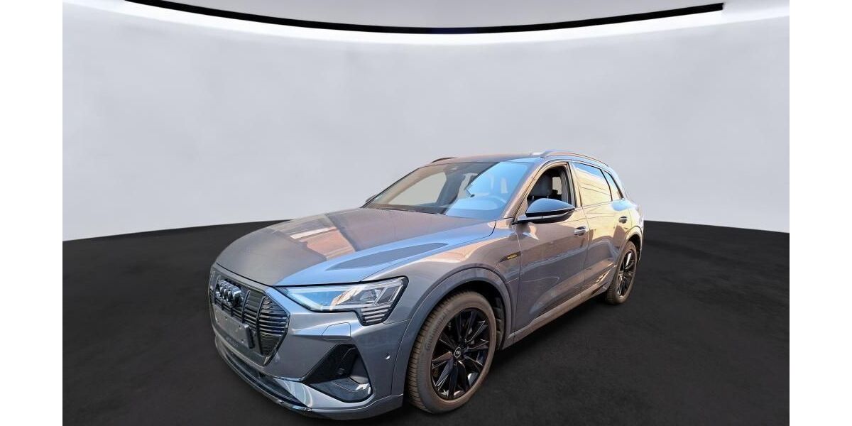 Audi e-tron 41.352 km 38.820 &euro; Hagen 58091