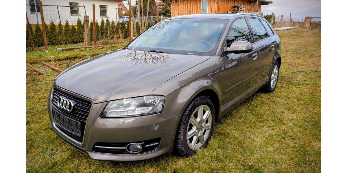 Audi A3 174.300 km 5.900 &euro; Diera -Zehren 01665