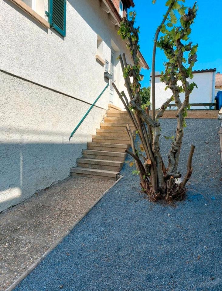 WG Zimmer Haus Wohnung zimmer