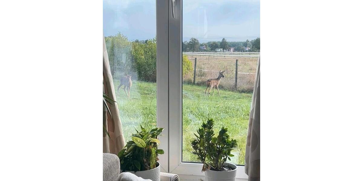 Mehrfamilienhaus, Wohnhaus Winsen (Aller) - 10 Zimmer, 367 m&sup2;, 629.000&euro; | Angebot:27259503