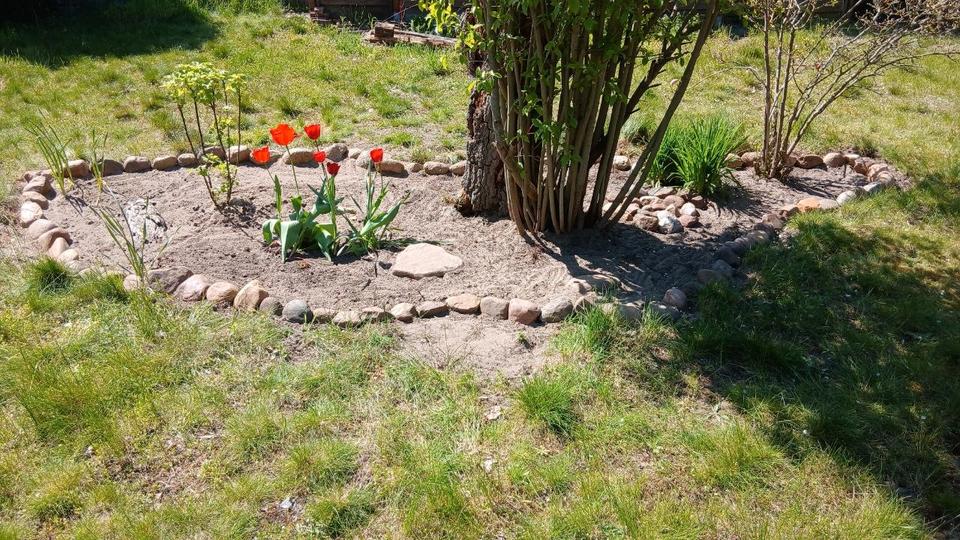 Einfamilienhaus Meinersen - 6.5 Zimmer, 128 m&sup2;, 377.000&euro; | Angebot:27148005