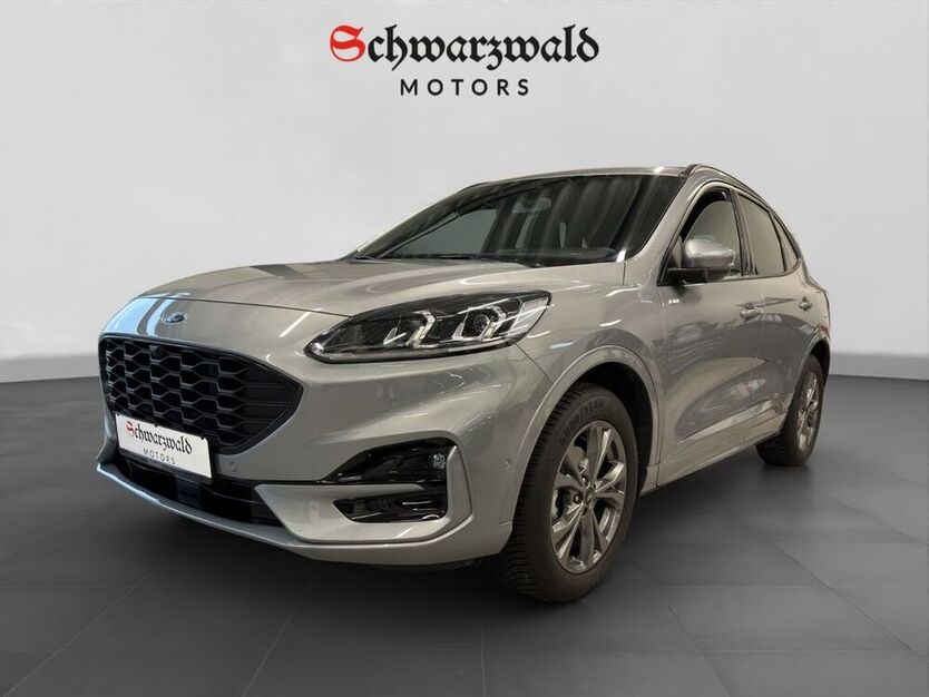 Kuga