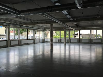 ZENTRALE LAGE IM DREILÄNDERECK - Gewerbeobjekt Lörrach | Angebot:26230297