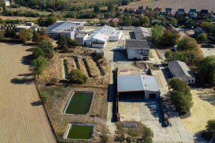 Grundstück Grimma Mutzschen - 1.900.000&euro; | Angebot:25940747