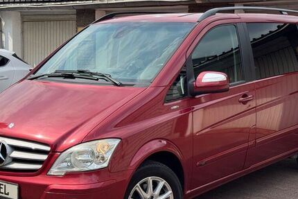 Mercedes Viano