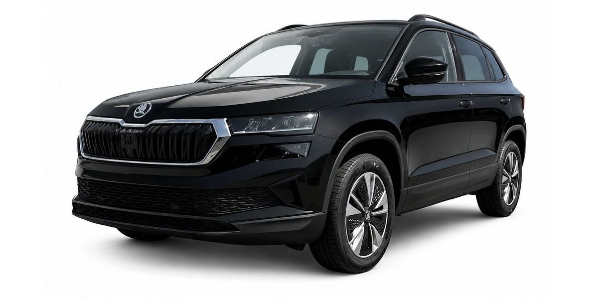 Skoda Karoq 78.280 km 23.400 &euro; Wardenburg 26203