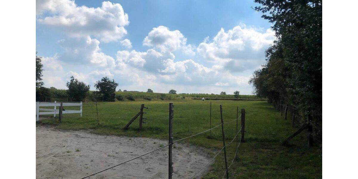 Einfamilienhaus Esens - 4 Zimmer, 100 m&sup2;, 349.000&euro; | Angebot:26745270