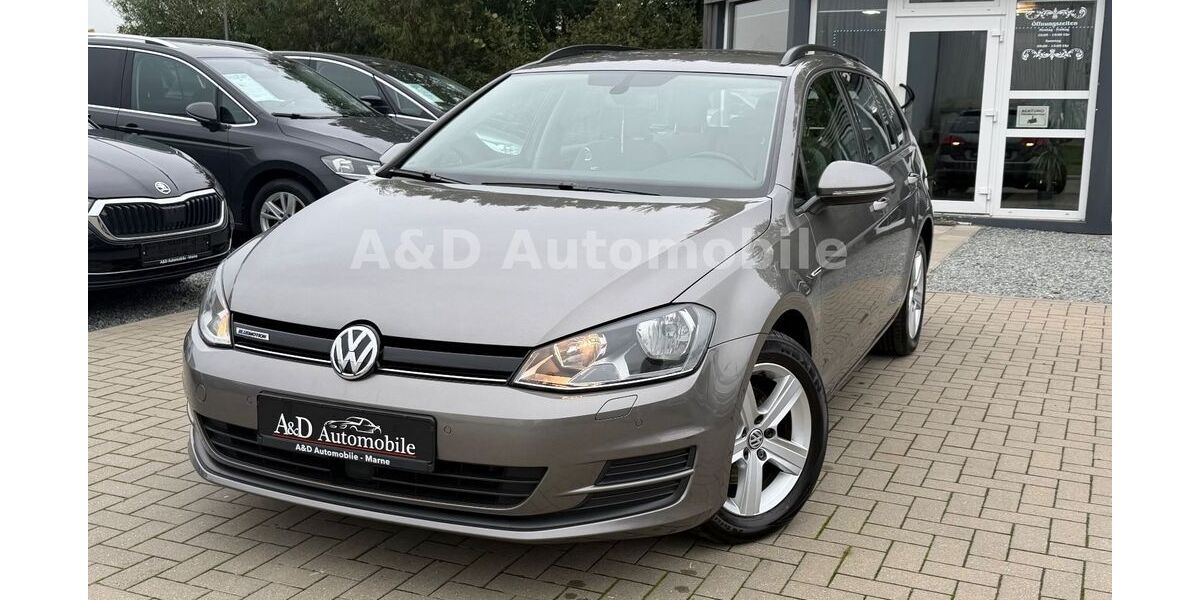 VW Golf 119.410 km 11.790 &euro; Marne 25709