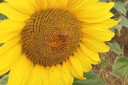 Gewerbeobjekt Waltershausen - 80&euro; | Angebot:21913588