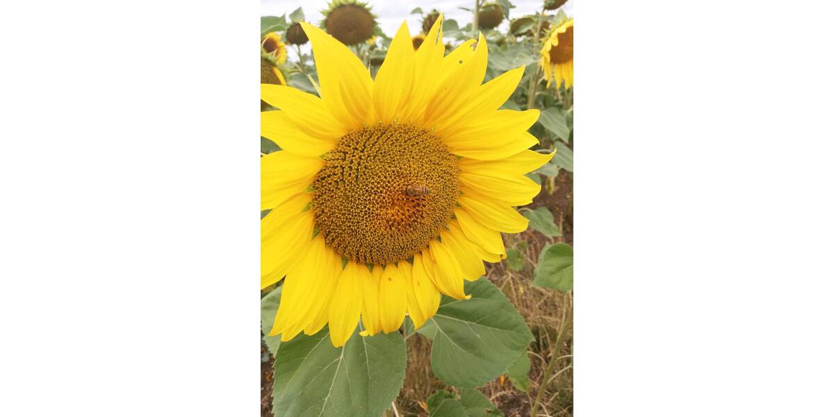 Gewerbeobjekt Waltershausen - 80&euro; | Angebot:21913588