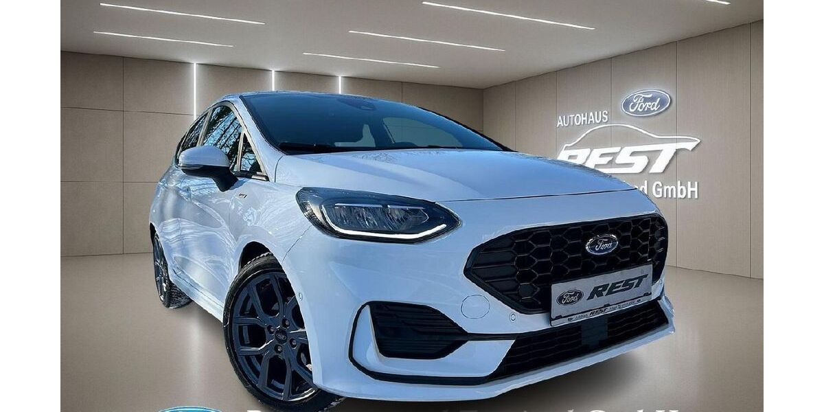 Ford Fiesta 9.980 km 18.450 &euro; Achern 77855