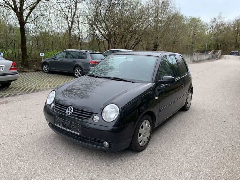 Lupo