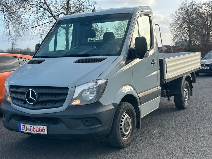 Sprinter