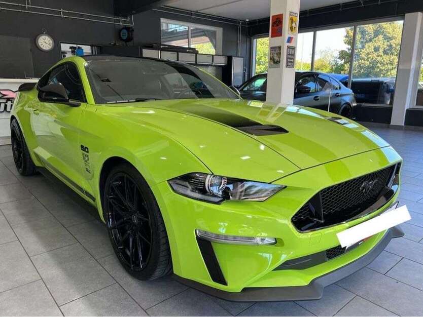 Mustang