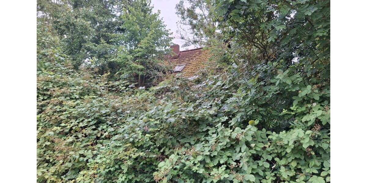Einfamilienhaus Tutow - 4 Zimmer, 300 m&sup2;, 10.000&euro; | Angebot:27133691