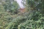 Einfamilienhaus Tutow - 4 Zimmer, 300 m&sup2;, 10.000&euro; | Angebot:27133691