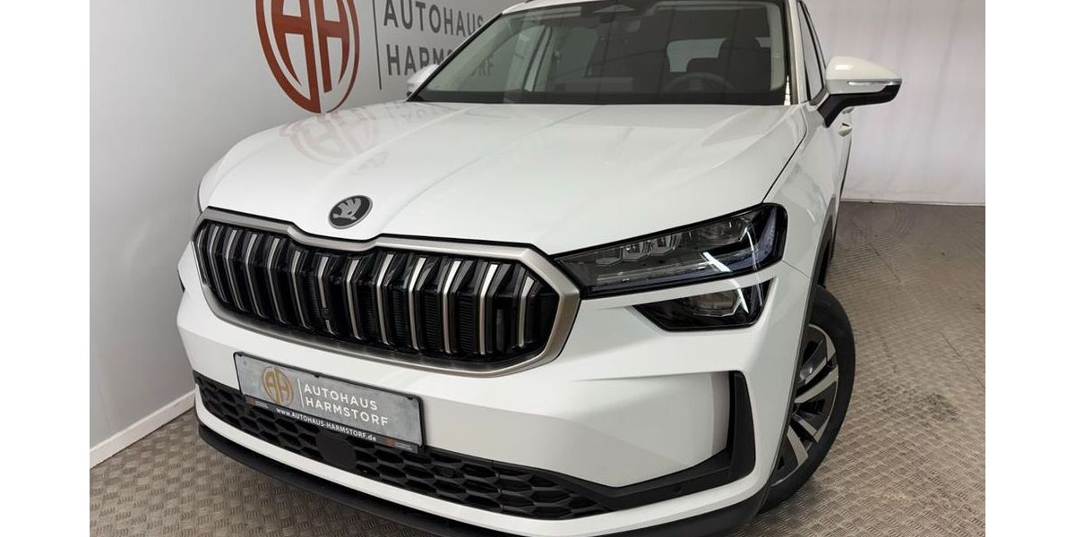 Skoda Kodiaq 1.050 km 38.890 &euro; Harmstorf/Hamburg 21228