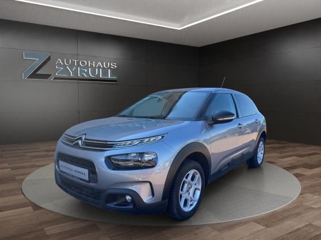 C4 Cactus