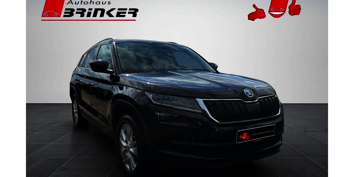 Skoda Kodiaq 110.662 km 19.730 &euro; Bielefeld 33649