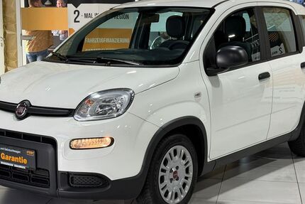 Fiat Panda 16.500 km 10.999 € Swisttal 53913