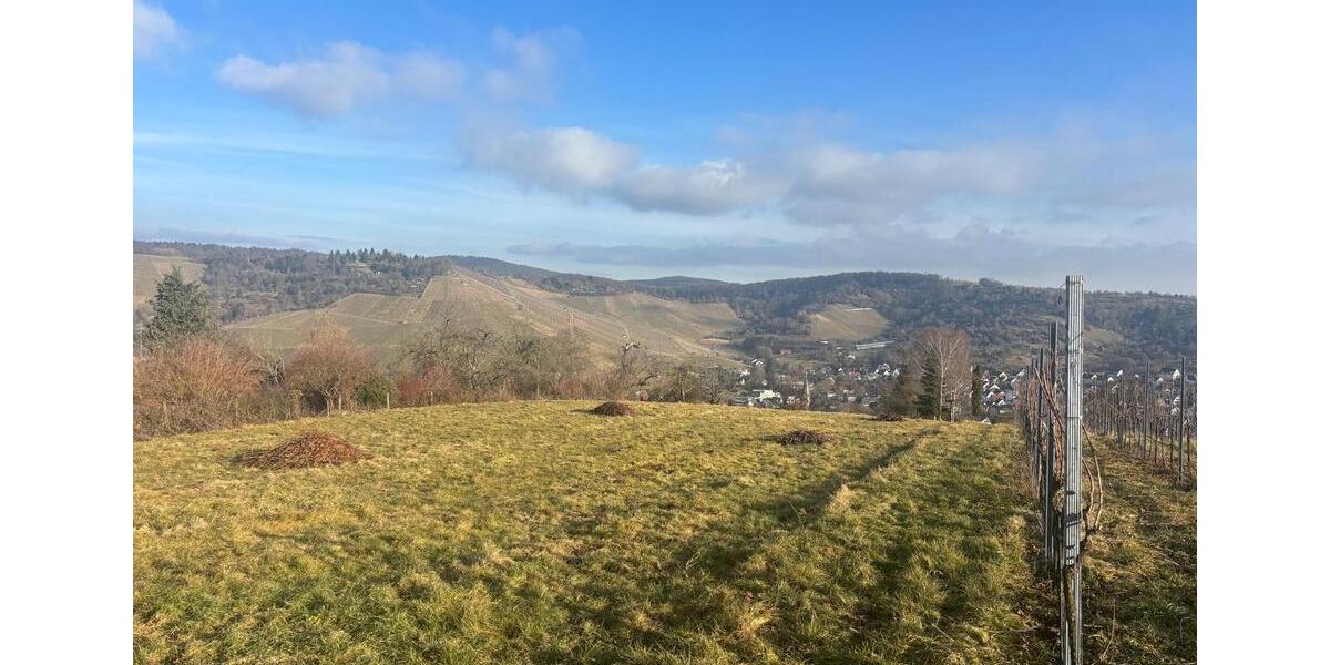 Grundstück Stuttgart Luginsland - 180&euro; | Angebot:26555866