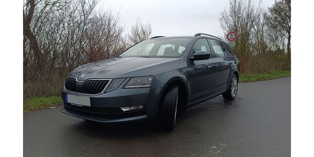 Skoda Octavia 106.000 km 14.395 &euro; Wolfhagen 34466