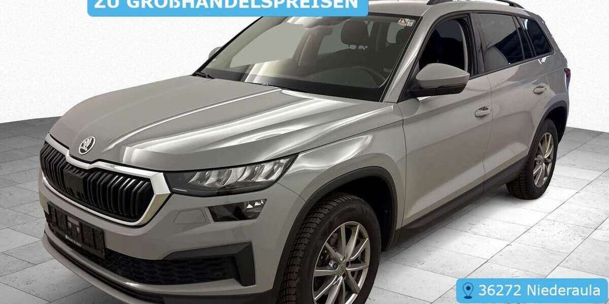 Skoda Kodiaq 92.990 km 24.490 &euro; Frankfurt 60596