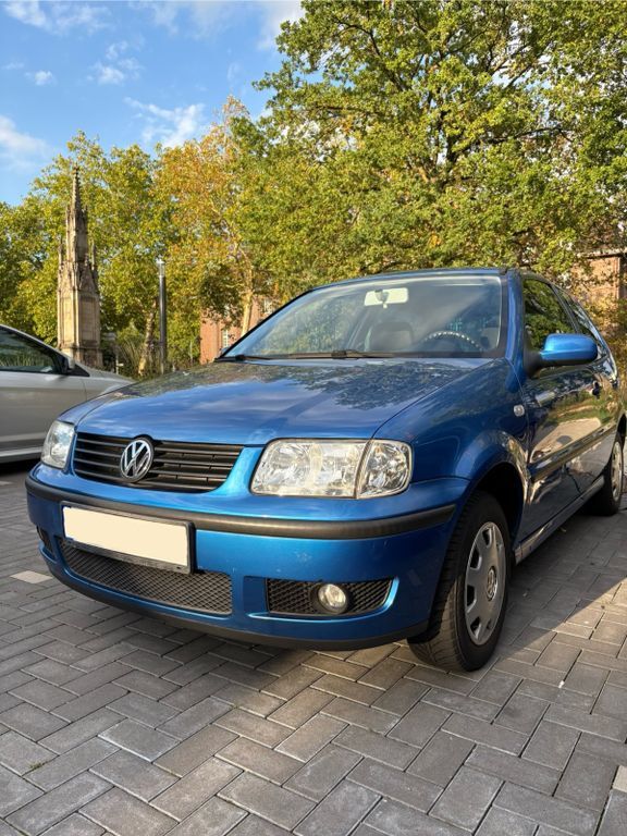 Polo
