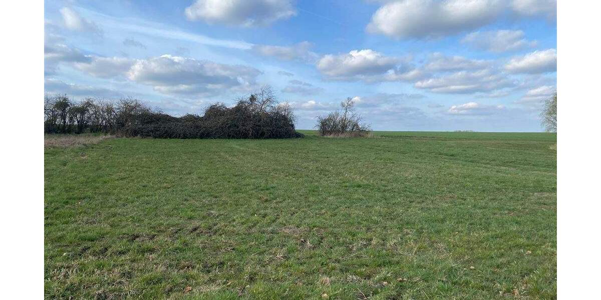 Grundstück Wurzen Kornhain - 45.000&euro; | Angebot:23866311