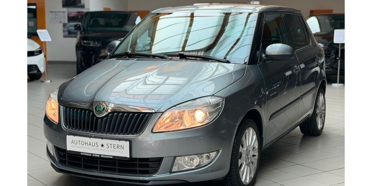 Skoda Fabia 95.000 km 7.990 € Mutterstadt 67112