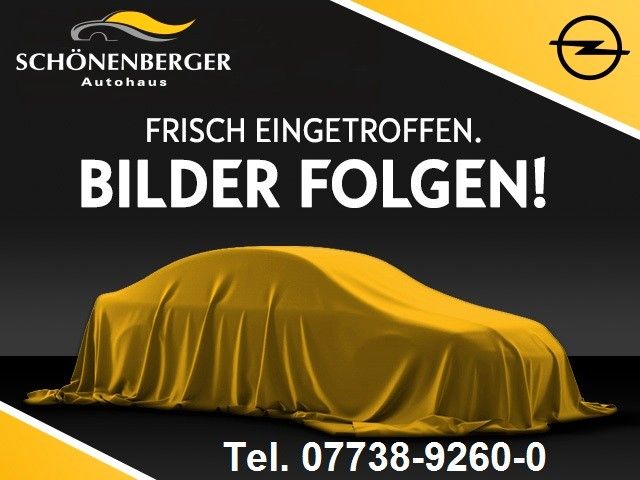 Opel Grandland (X) 1.200 km 45.990 € Steißlingen 78256