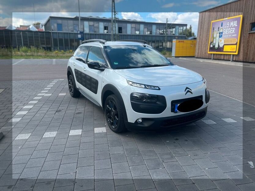 C4 Cactus