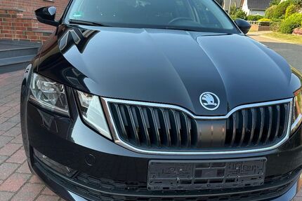 Skoda Octavia 249.192 km 8.490 &euro; Syke 28857