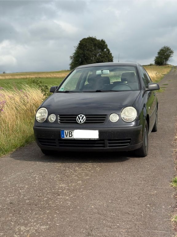 Polo