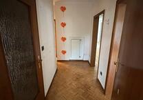 Wohnung mit großem Garten zu vermieten